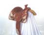 Chas Weldon custom made saddle